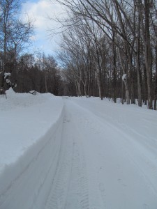 登満別園地への道