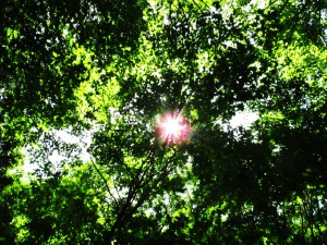 000IMG_1592